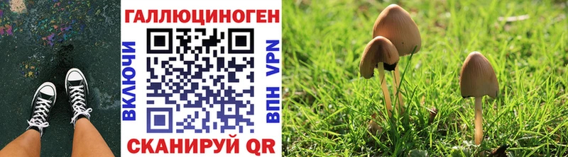 купить Северобайкальск Псилоцибиновые грибы GOLDEN TEACHER