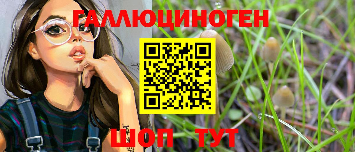 Северобайкальск  Галлюциногенные грибы Magic Shrooms  Вход с VPN  Псилоцибиновые грибы Psilocybine cubensis 